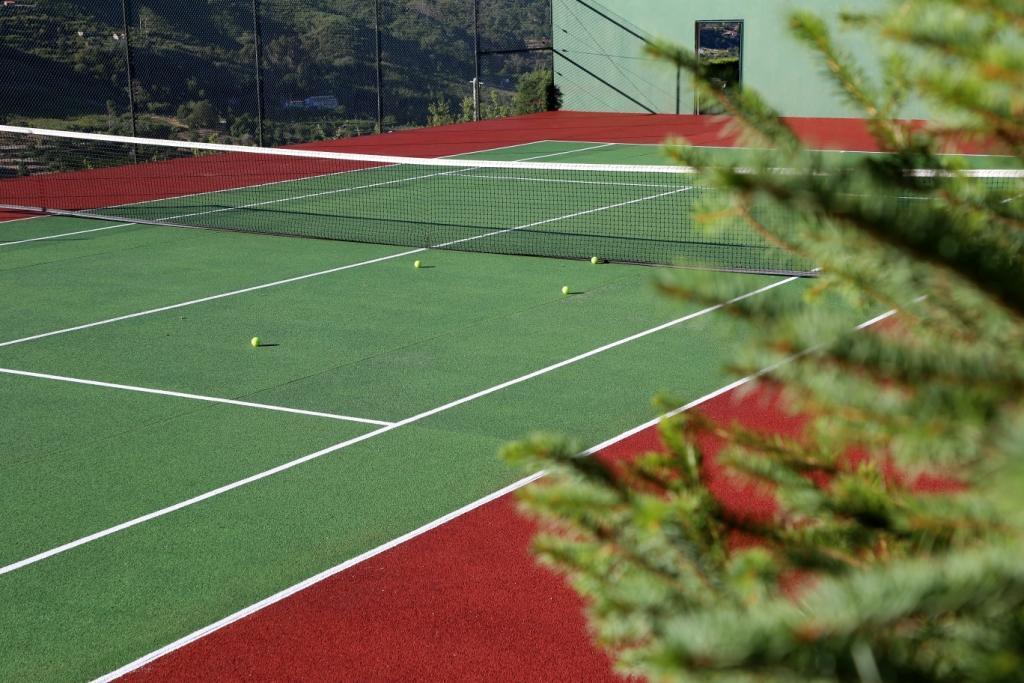Quinta Da Timpeira Pensionat Lamego Exteriör bild