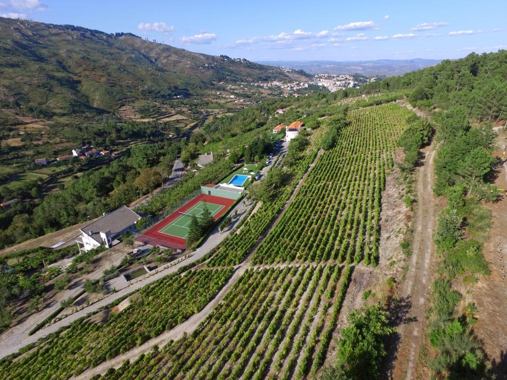 Quinta Da Timpeira Pensionat Lamego Exteriör bild
