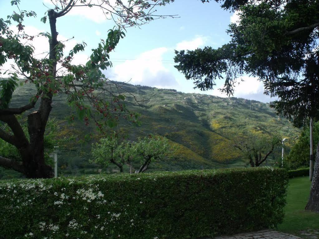 Quinta Da Timpeira Pensionat Lamego Exteriör bild