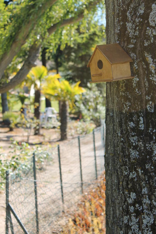 Quinta Da Timpeira Pensionat Lamego Exteriör bild