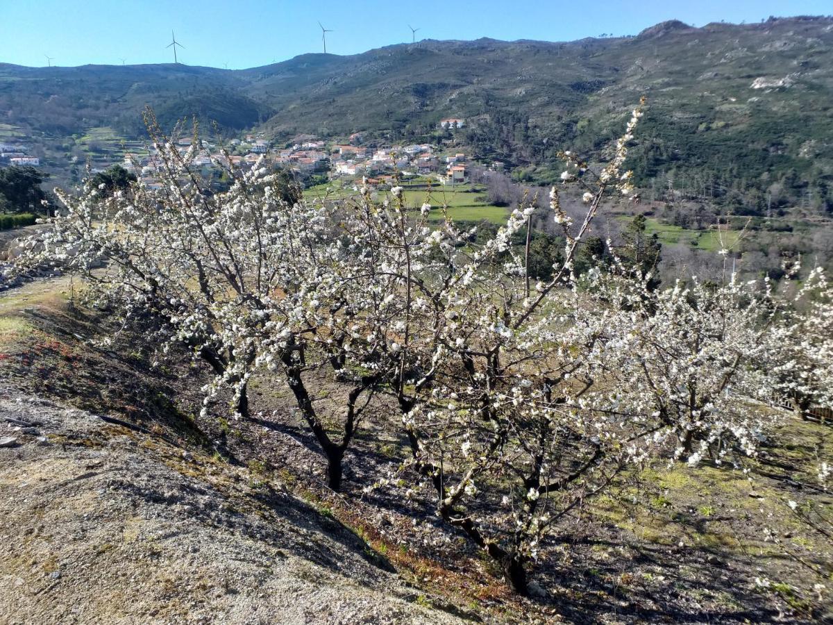 Quinta Da Timpeira Pensionat Lamego Exteriör bild